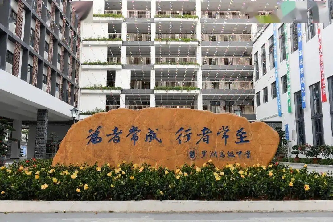 深圳市罗湖高级中学校区电梯防滑地板项目